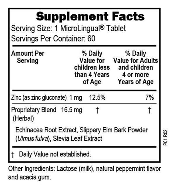 Superior Source, Echinacea & Zinc Lozenjets, 60 MicroLingual Instant Dissolve Tablets, Dietary Supplement, GMO Free - Image 2